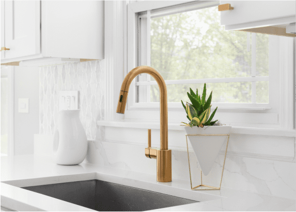 A kitchen sink with a plant in the middle of it.